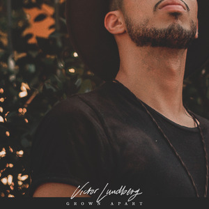 性欧美内谢一Vide0Se
