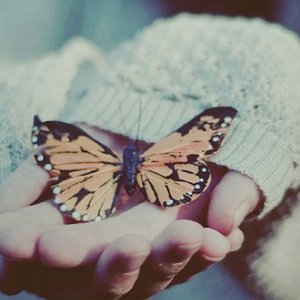 性欧美内谢一Vide0Se
