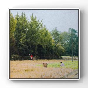 性欧美内谢一Vide0Se
